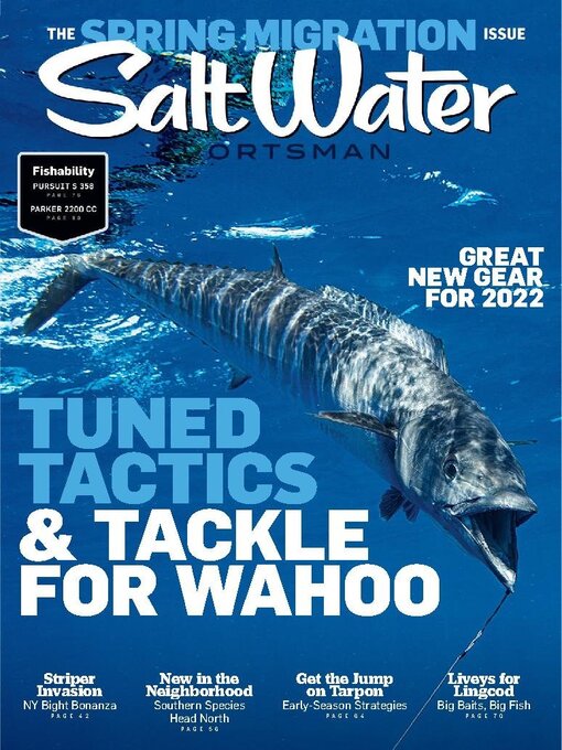 Title details for Salt Water Sportsman by Firecrown Media Inc. - Available